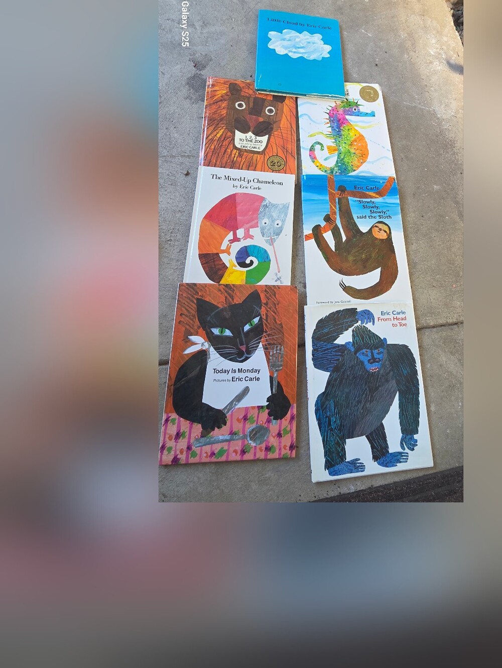 Eric Carle Board Book Lot - Colorful Animal Classics